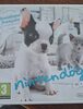 Nintendogs + Cats - Product