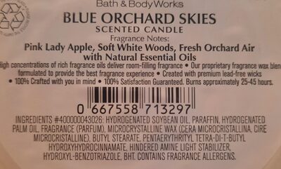 Bath & Body Works Blue Orchard Skies - 1