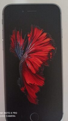 Apple - Iphone 6S Gris Sidéral - 16 Go (MKQJ 2 ZD / A) - Product - fr