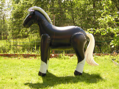 Pferd schwarz matt [IW-HorseBM] - 1