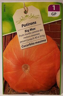 30 graines-Légumes Pumpkin big max