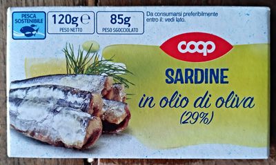 sardine in olio di oliva - Product