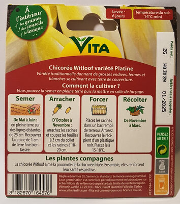 Chicorée Witloof Variété Platine - Ingredients