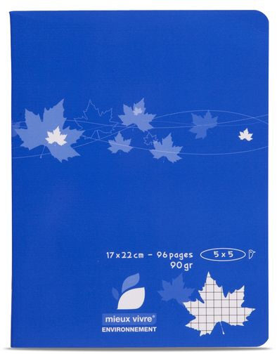 Cahier piqure 17x22cm petits carreaux - Product - fr