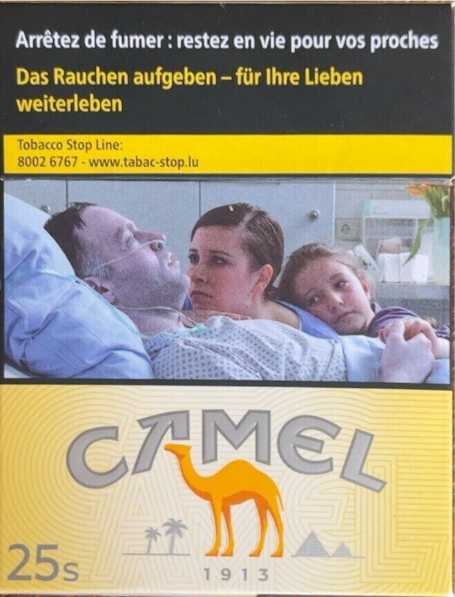 Cigarettes camel 25s - Produit - fr