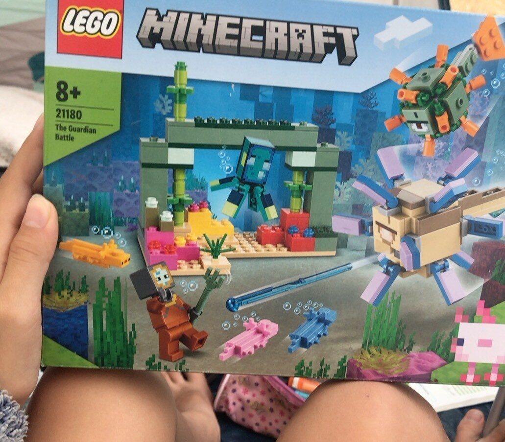 Lego Minecraft - Product - fr