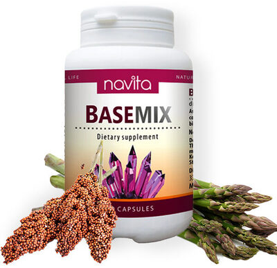 Basemix - Supporting treatment of gout disease - Product
