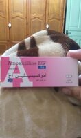 Amoxicilline 1g - Product - fr