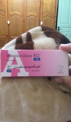 Amoxicilline 1g - Produit