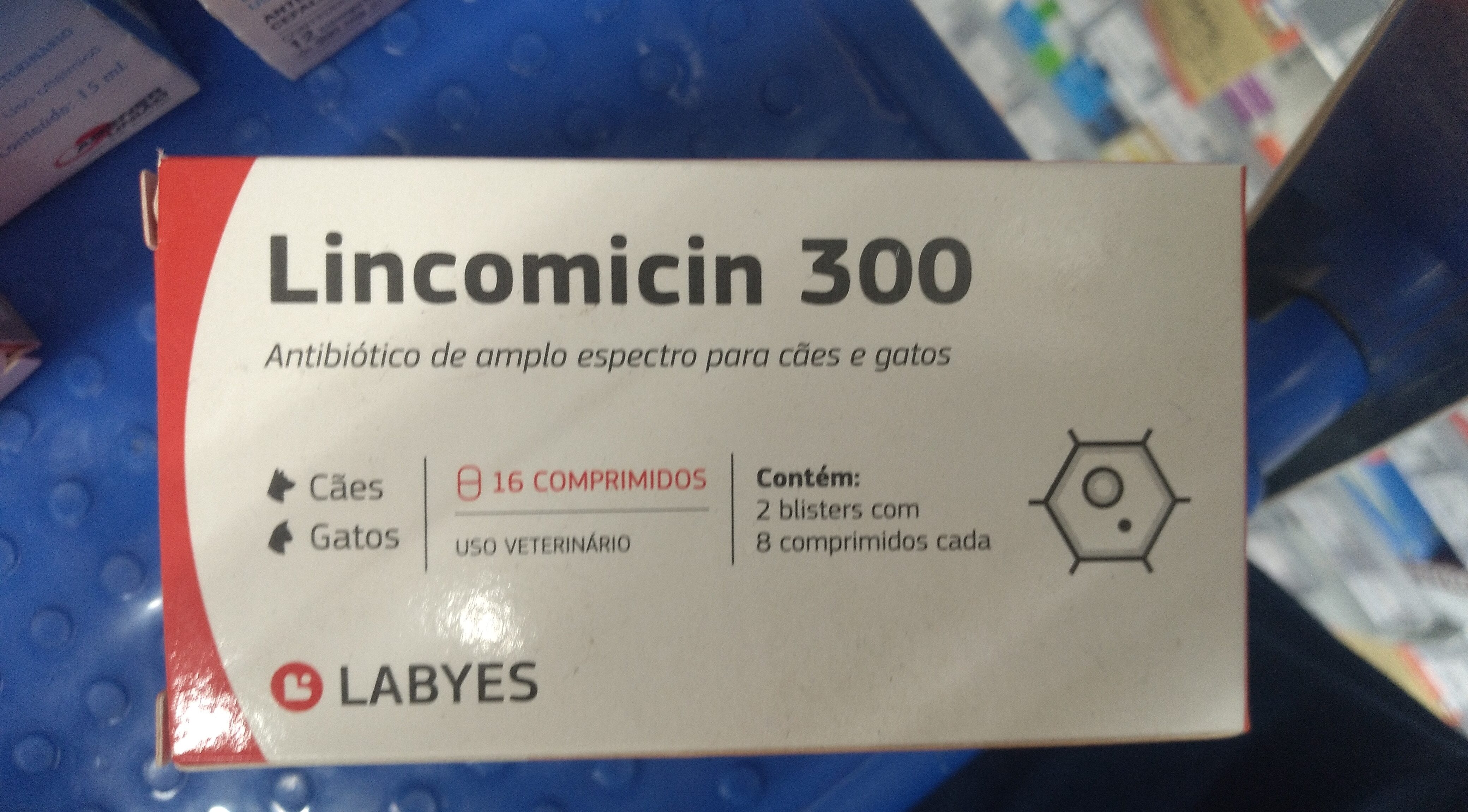 Lincomicin 300 - Product - pt