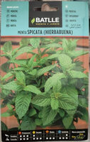 Menta spicata (hierbabuena) - Produit - es