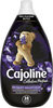CAJOLINE Collection Parfum Assouplissant Concentré Bouquet Voluptueux 38 Lavages, 950ml - Product