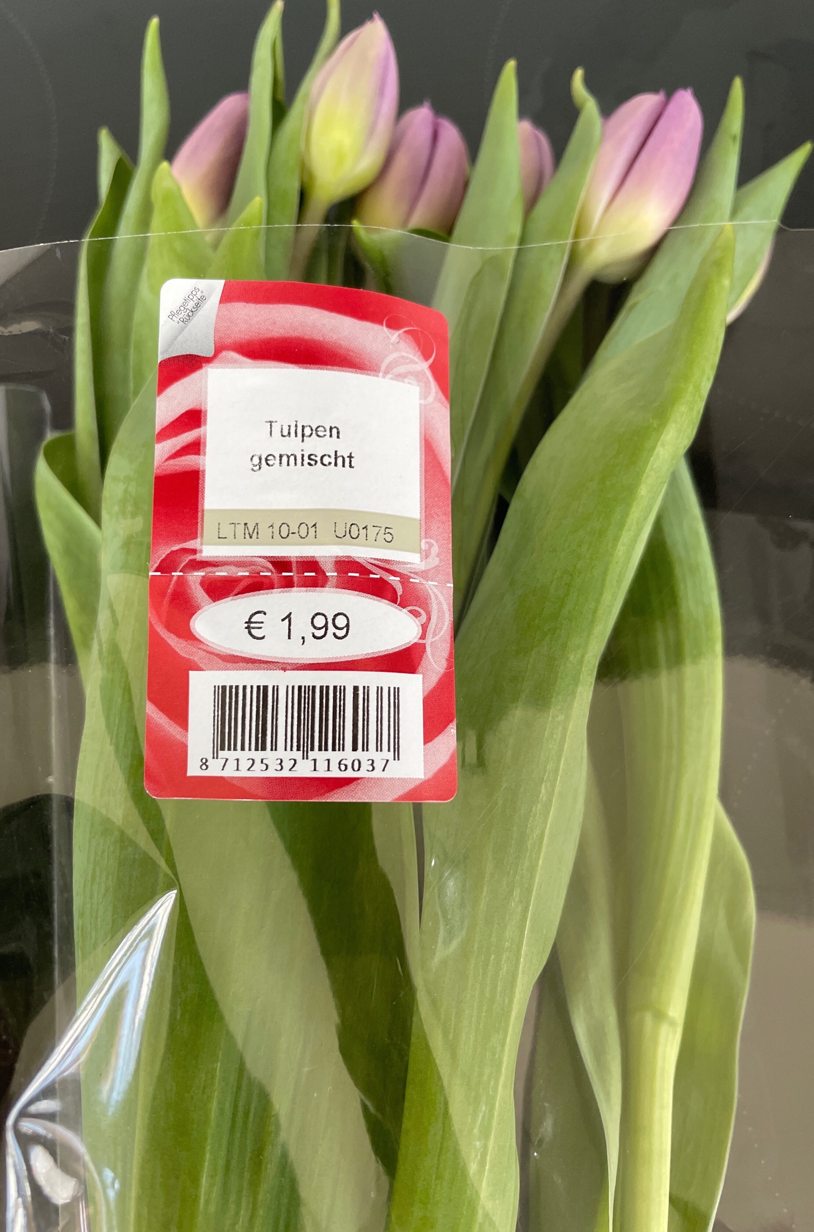 Tulpen gemischt - Produit - de