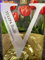Tulipa double - Product - de