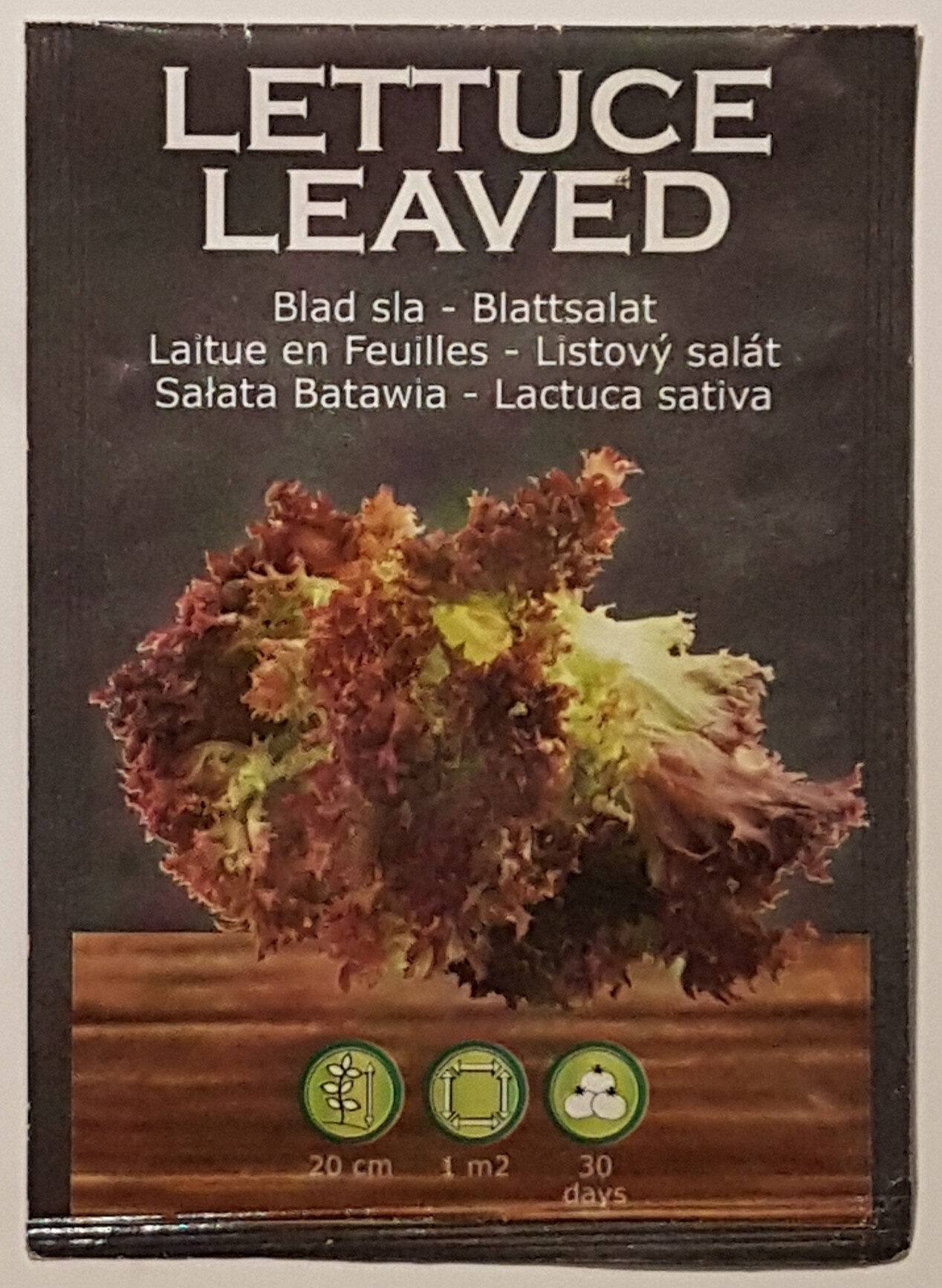 Laitue en Feuilles - Lactuca Sativa - Product - fr