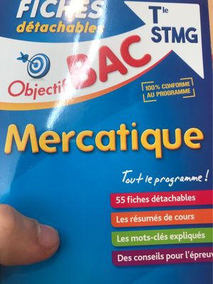 Bac Fiches Mercatique - 1