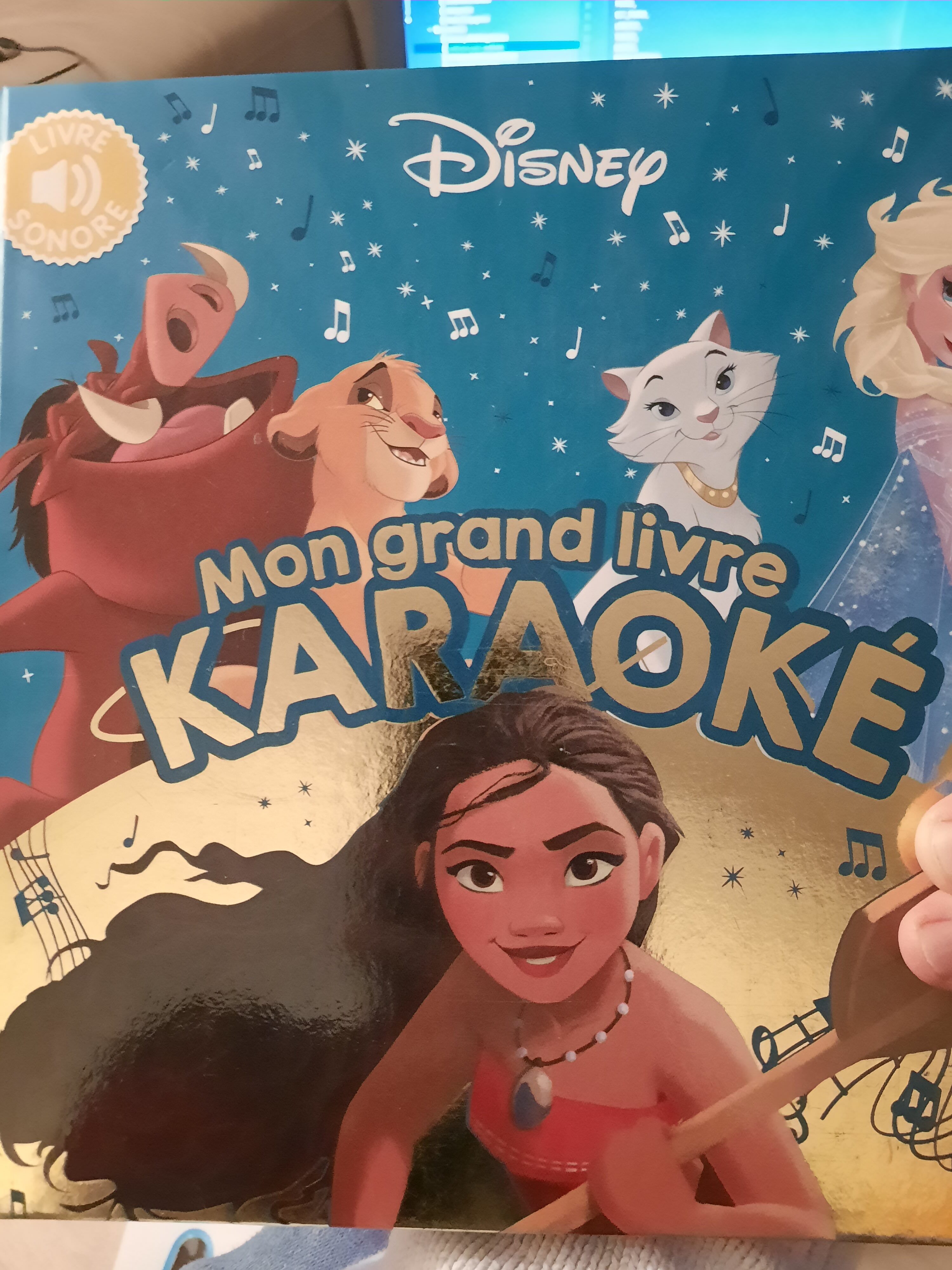 mon grand livre karaoké Disney - Product - fr