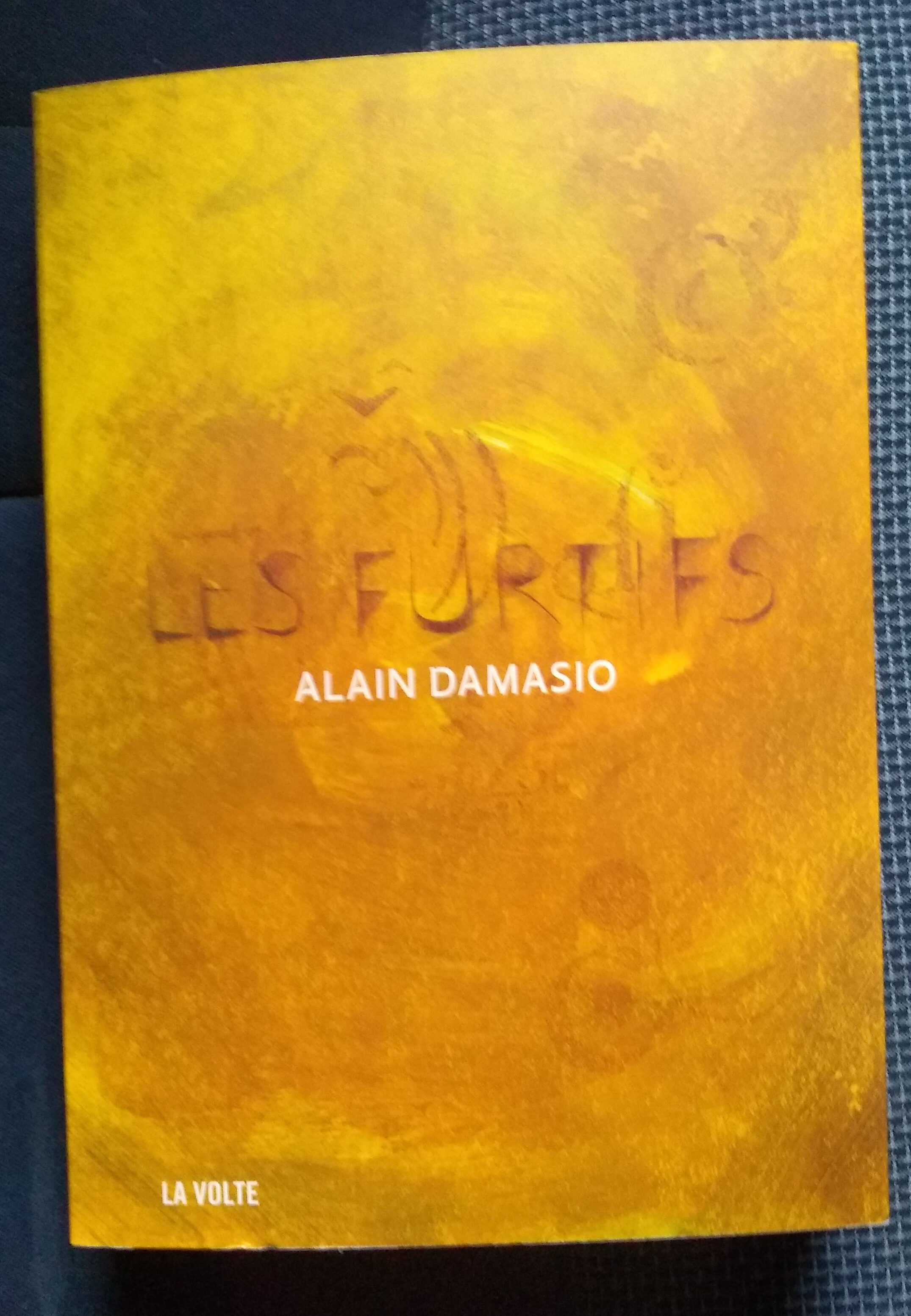 Les Furtifs - Alain Damasio - Produit - fr