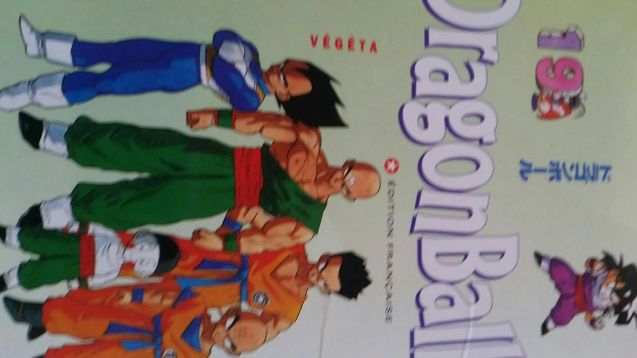 Dragon Ball Vol. 19 De Akira Toriyama - Product - fr